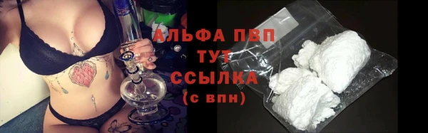 гашик Баксан
