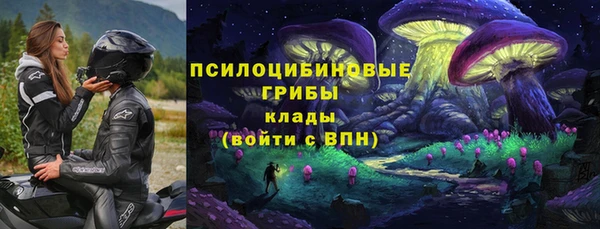 гашик Баксан