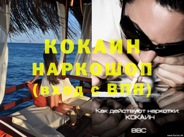 стаф Михайлов