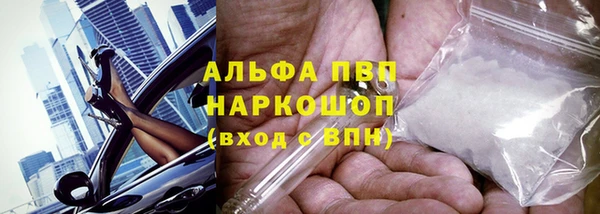 гашик Баксан