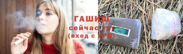 СК Богородск