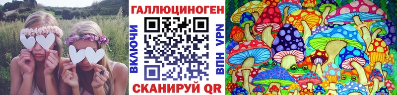 Купить закладки  Константиновск  Псилоцибиновые грибы GOLDEN TEACHER 